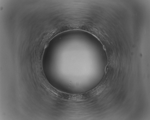 X0000076261201200610051237