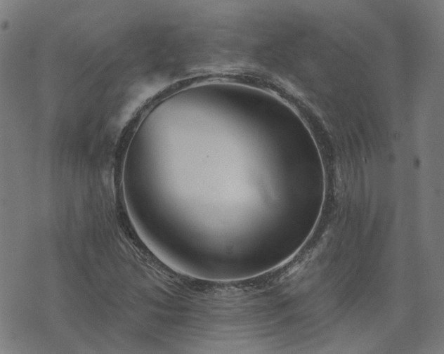 X0000076261214200610051237