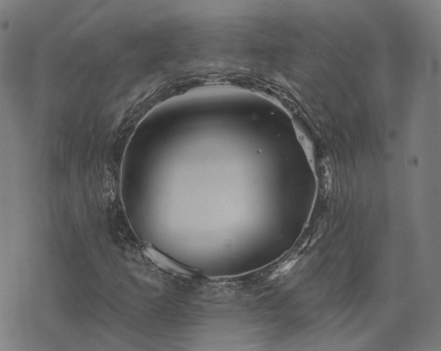 X0000076261253200610051237
