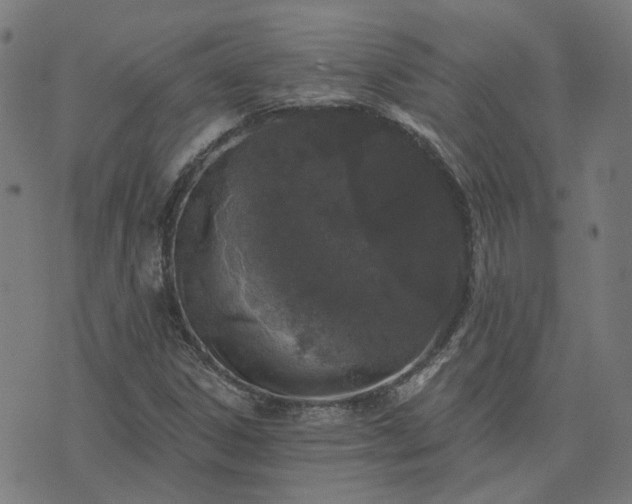 X0000076261306200610051235