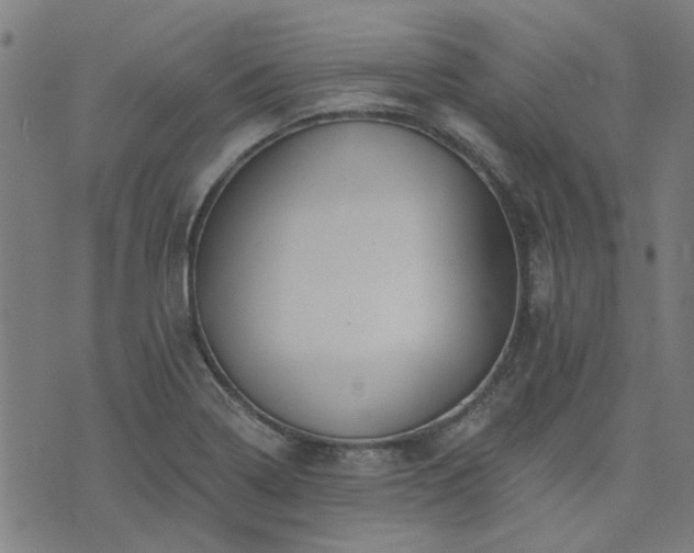 X0000076261322200610051236