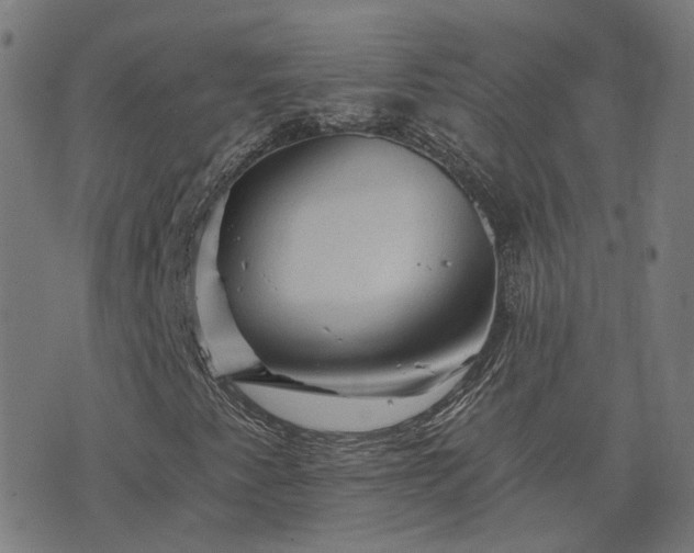 X0000076261345200610051235