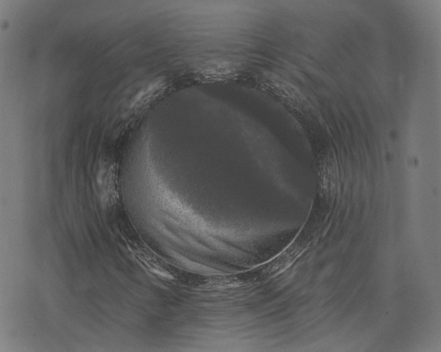 X0000076261346200610051235