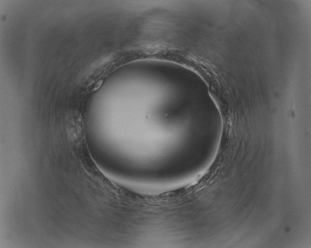 X0000076261349200610051235
