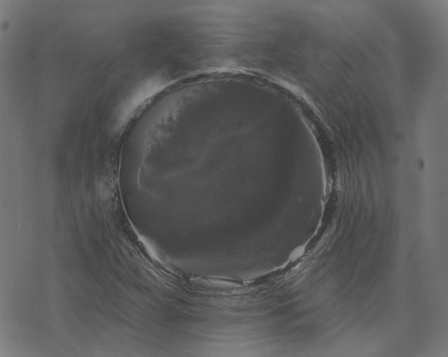 X0000076261359200610051235