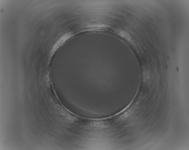 X0000076261362200610051235
