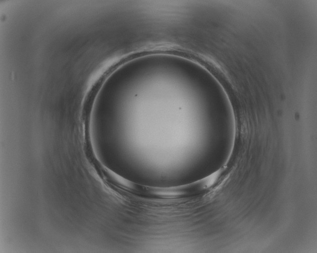 X0000076261414200610051234