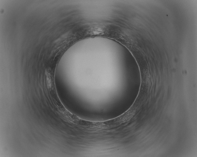 X0000076261442200610051234
