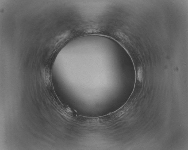 X0000076261444200610051234