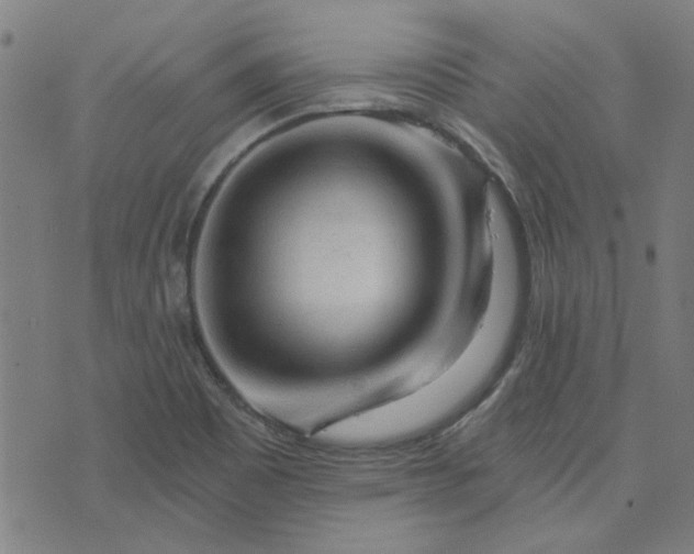 X0000076261465200610051233