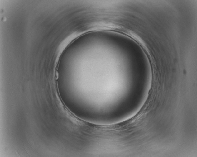 X0000076261488200610051233