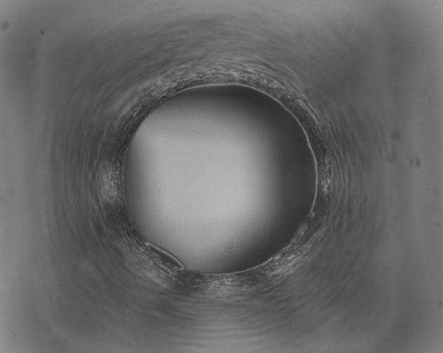 X0000076261490200610051232