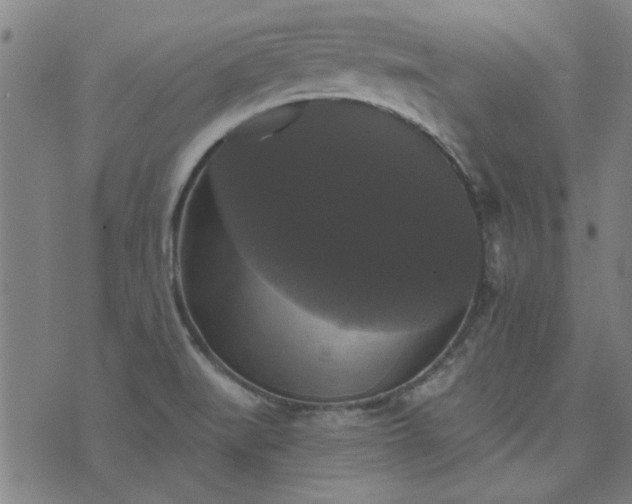 X0000076261519200610051233