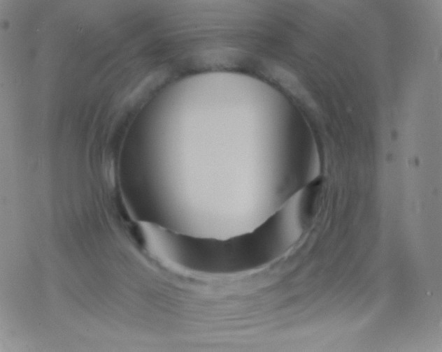 X0000076260021200610122241