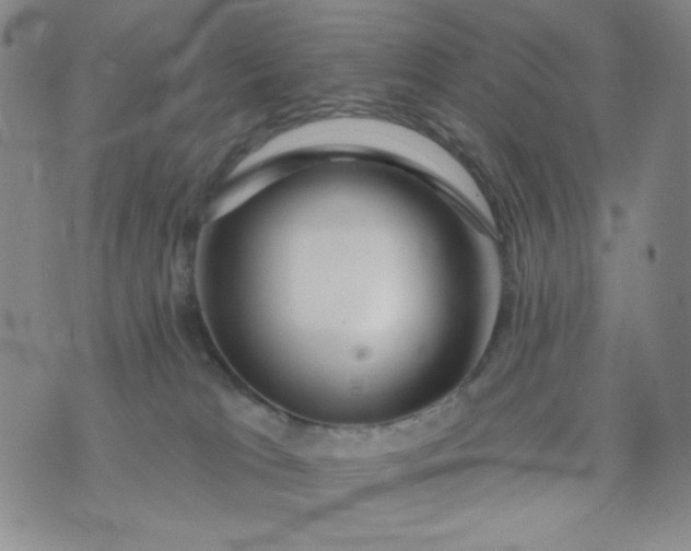 X0000076260037200610122241