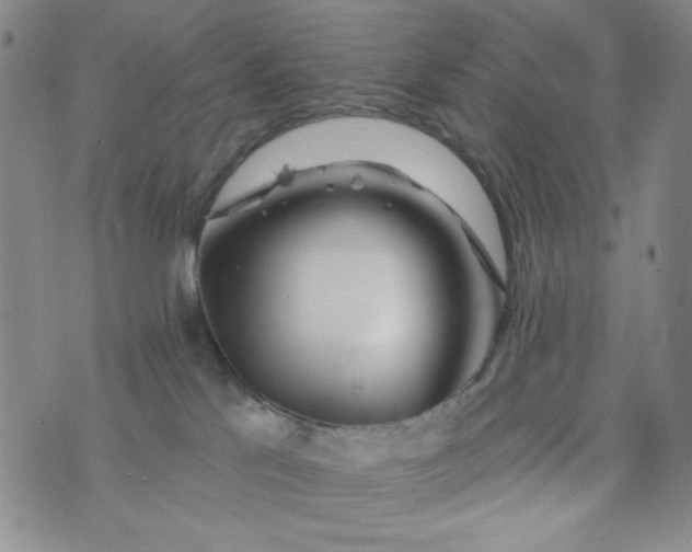 X0000076260041200610122241