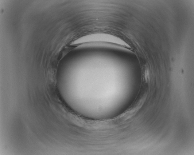 X0000076260044200610122241
