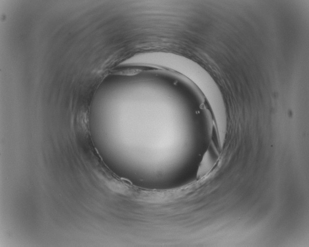 X0000076260045200610122241