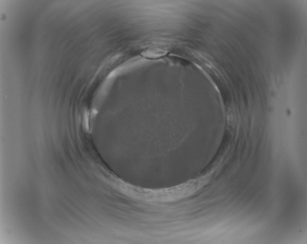 X0000076260046200610122241