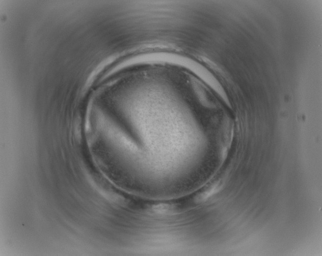X0000076260064200610122240