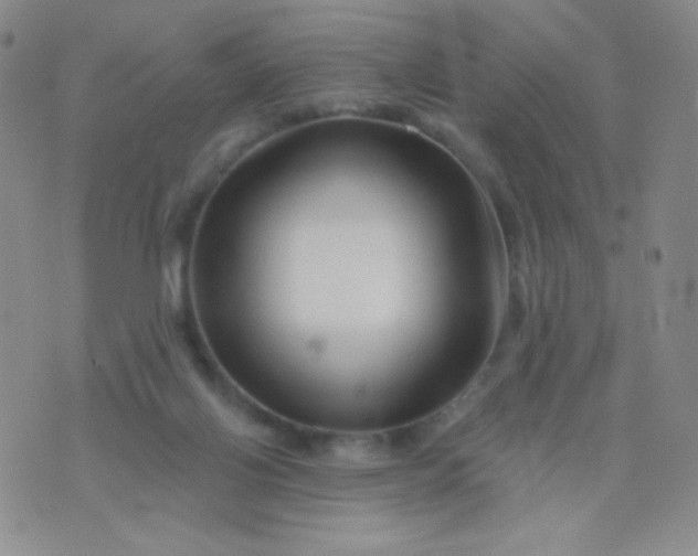 X0000076260070200610122240