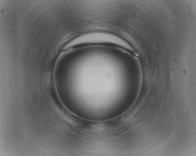 X0000076260071200610122241