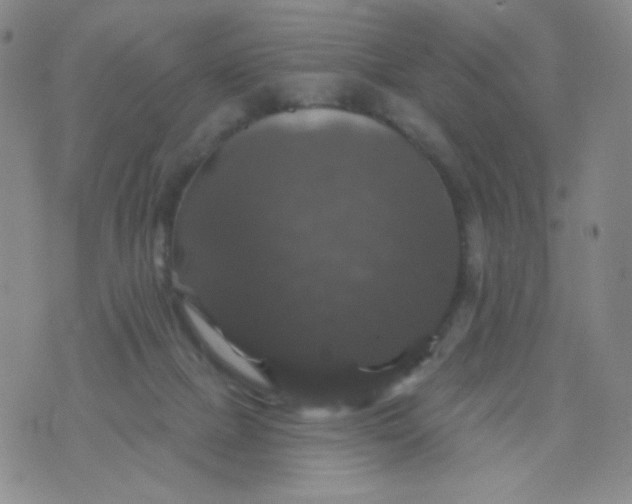 X0000076260073200610122241
