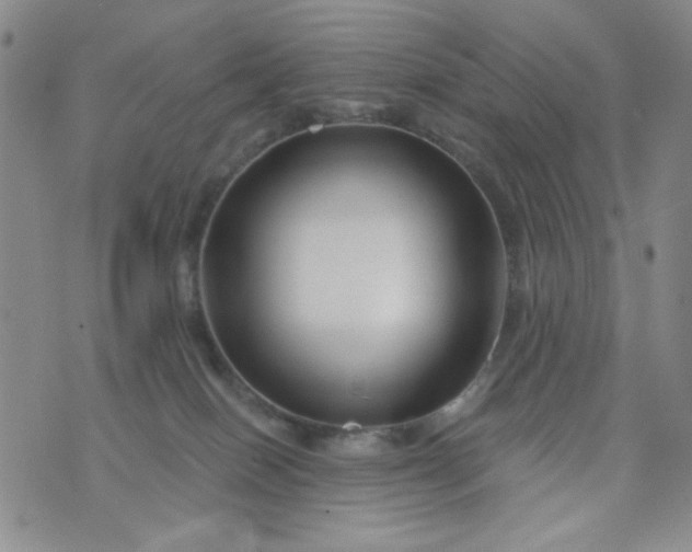 X0000076260086200610122241