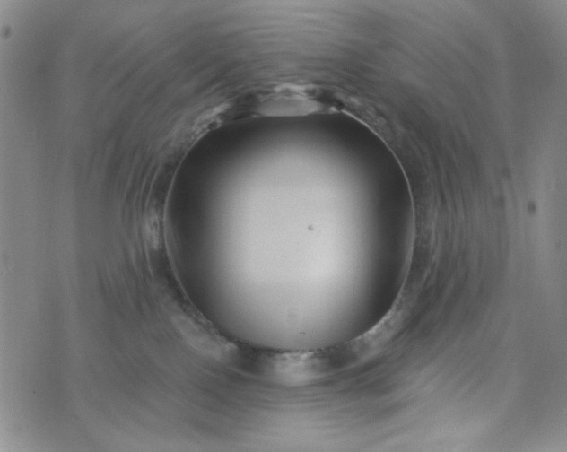 X0000076260090200610122241