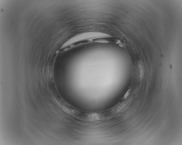 X0000076260091200610122241