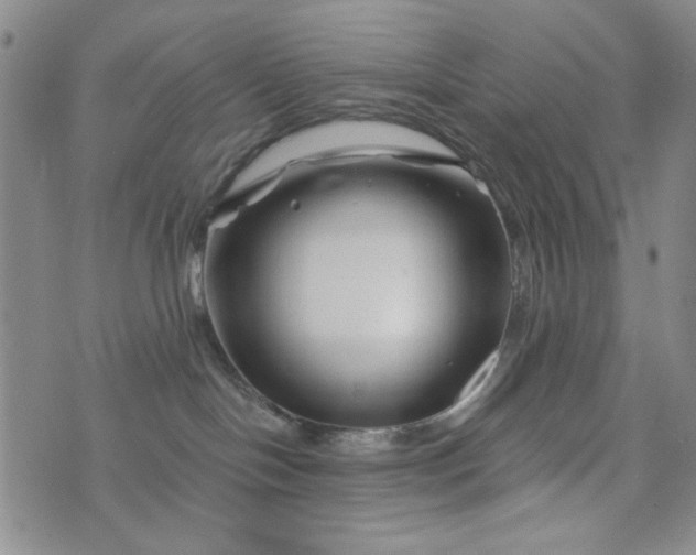 X0000076260094200610122241