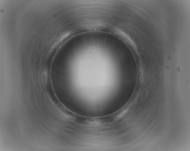 X0000076260113200610122240