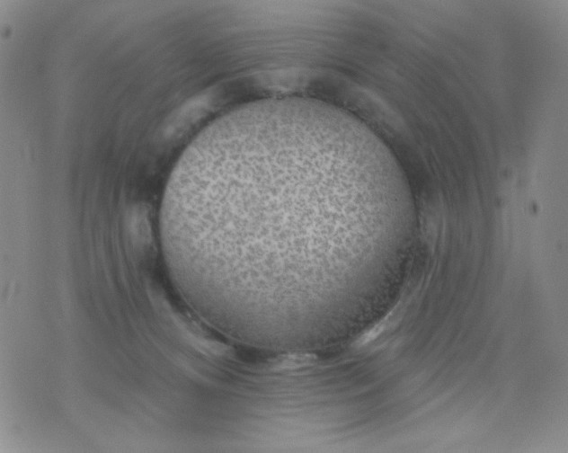 X0000076260128200610122240