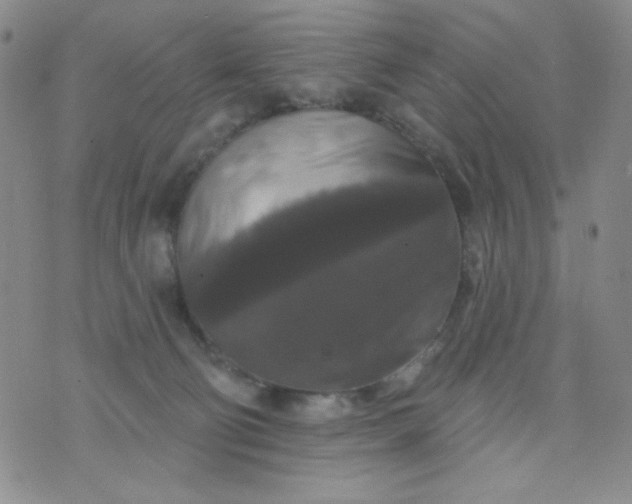 X0000076260130200610122240