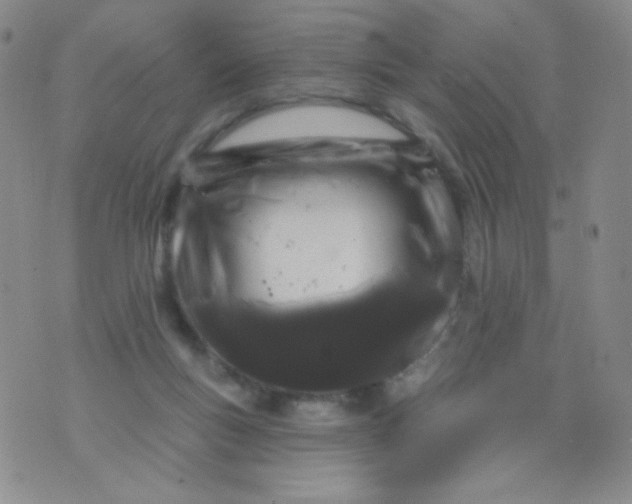 X0000076260167200610122239