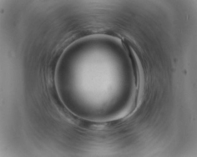 X0000076260170200610122239