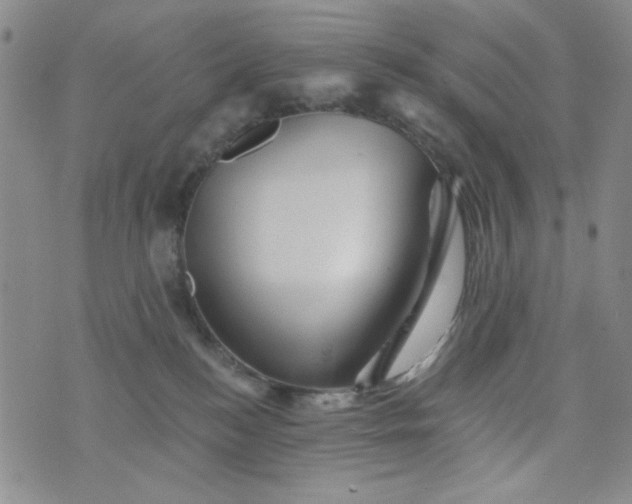 X0000076260184200610122239