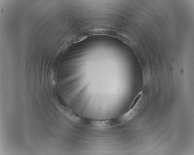 X0000076260187200610122239