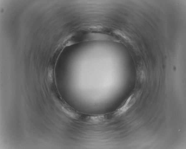 X0000076260188200610122239