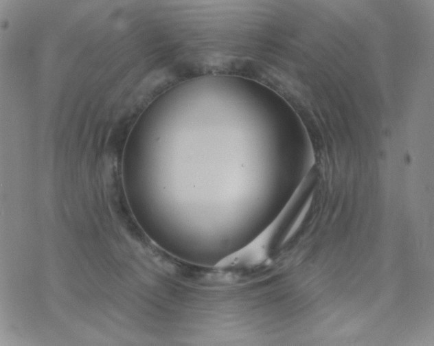X0000076260225200610122238