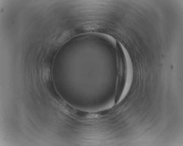 X0000076260227200610122238
