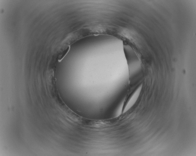 X0000076260229200610122238