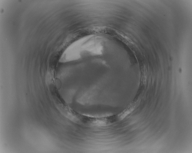 X0000076260236200610122238