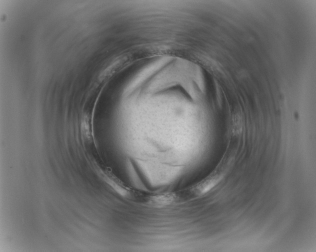 X0000076260238200610122238
