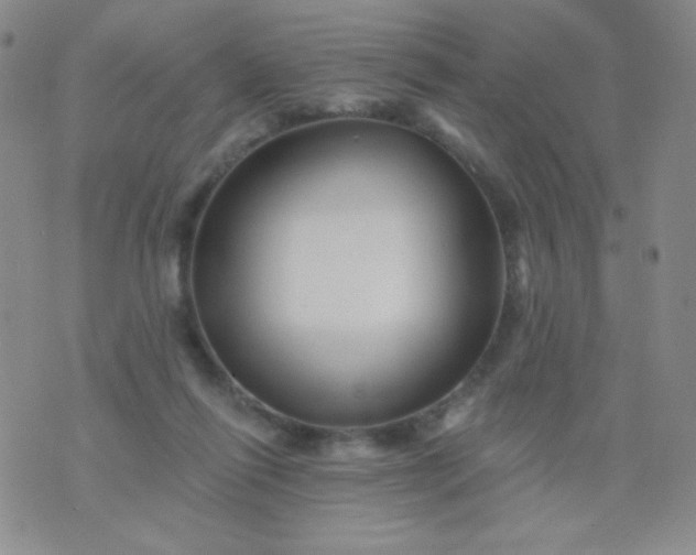 X0000076260262200610122237