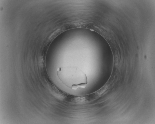 X0000076260279200610122238