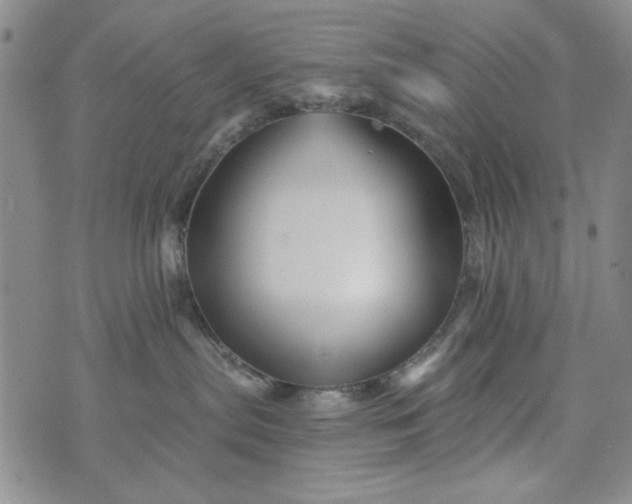 X0000076260287200610122238