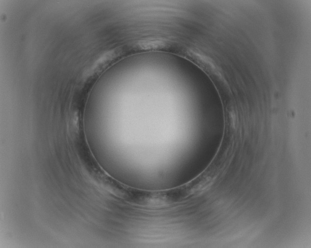 X0000076260308200610122237