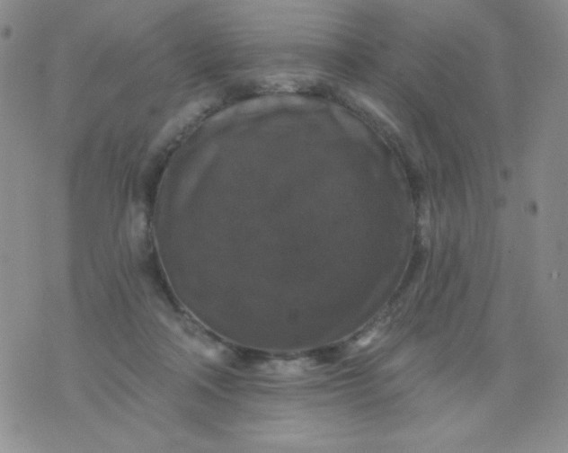 X0000076260314200610122237