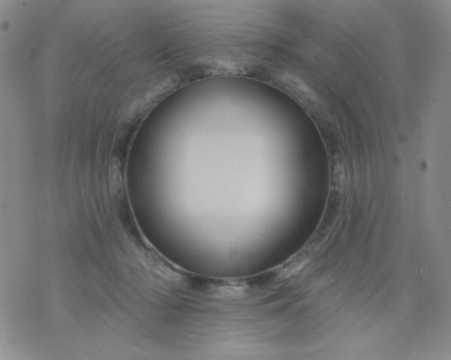 X0000076260318200610122236